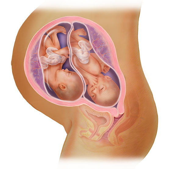 28-nedelja-blizanačke-trudnoće