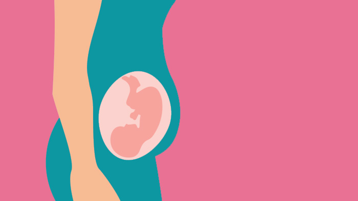Terhesség – Harmadik trimeszter