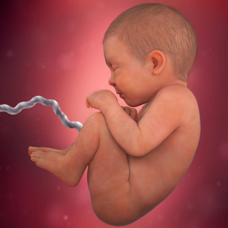 izgled i razvoj bebe u 40 nedelji trudnoće