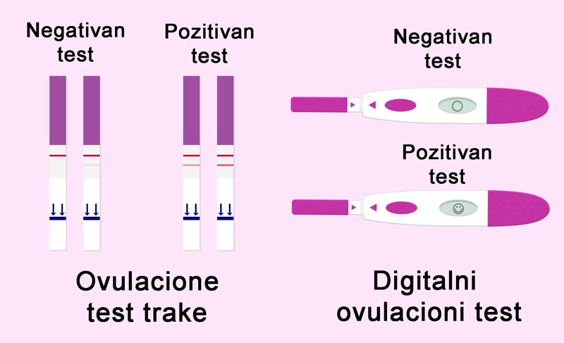 rezultati ovulacionog testa - test trakom i digitalnim testom